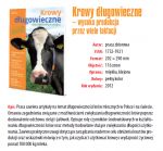KSIĄŻKA Krowy długowieczne - wysoka produkcja przez wiele lat ( miękka, klejona, kolor) 116 str